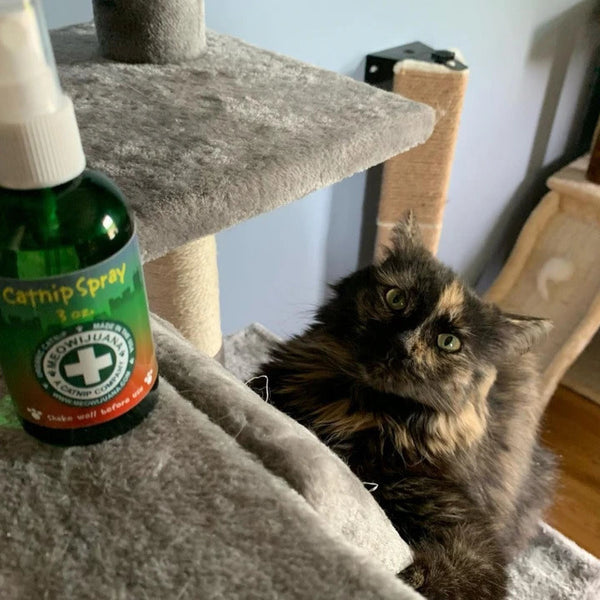 MEOWIJUANA Catnip Spray 3oz