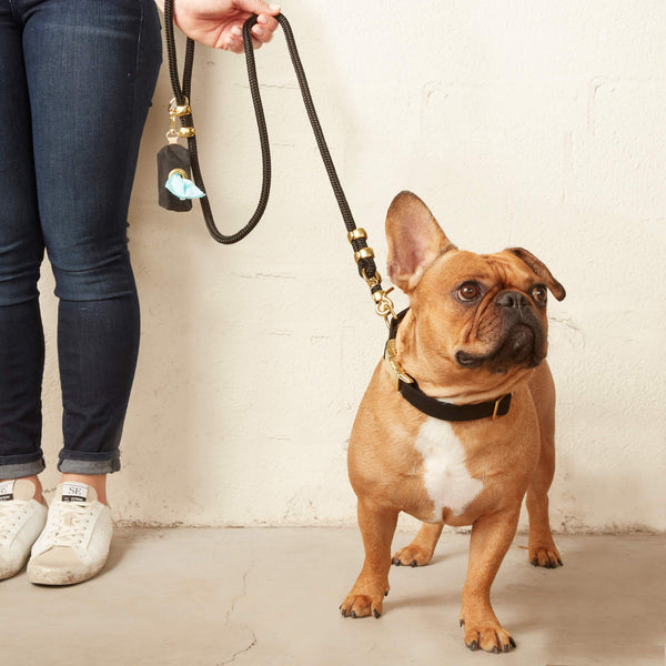 FOGGY DOG Onyx Marine Rope Dog Leash