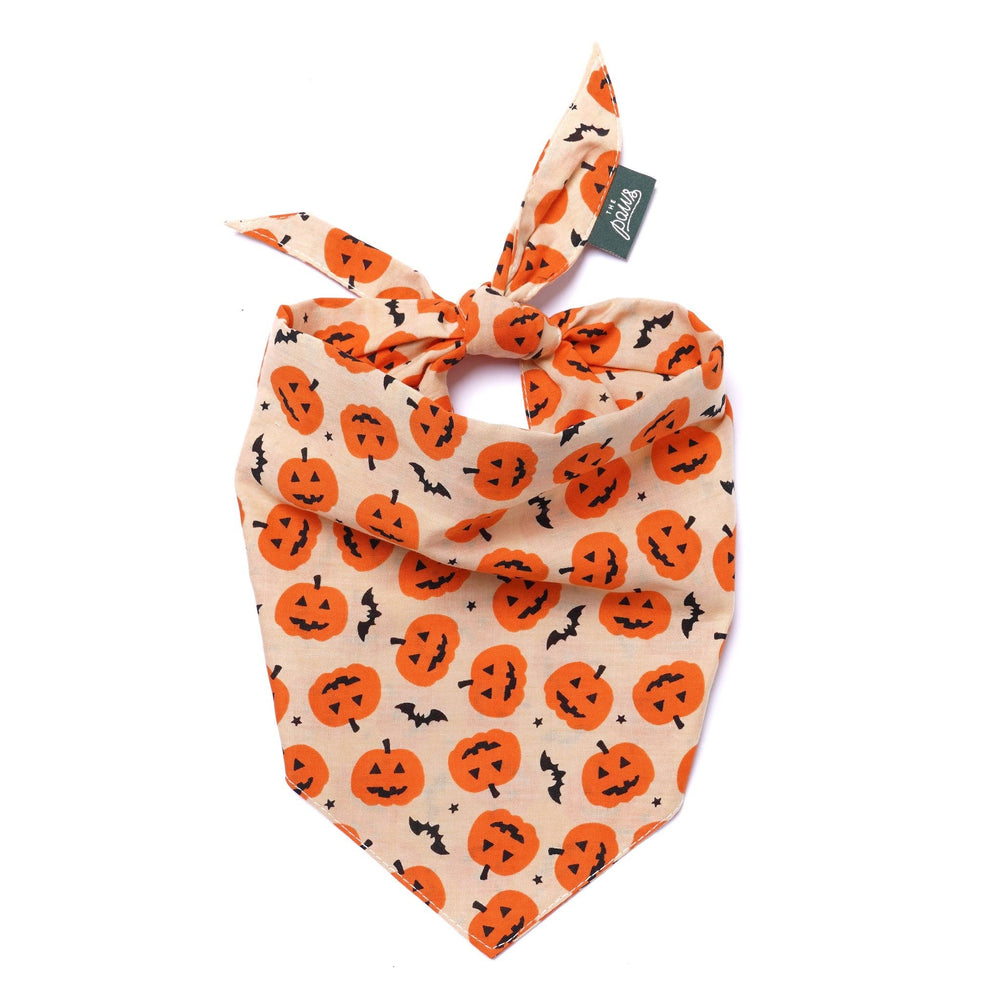 FISH & BONE Pupkin Halloween Dog Bandana