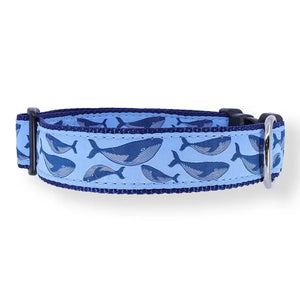 PRESTON Humpback Whale on Blue Dog Collar