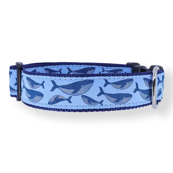 PRESTON Humpback Whale on Blue Dog Collar