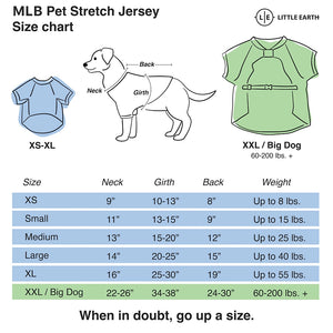 Red Sox Jersey Gray