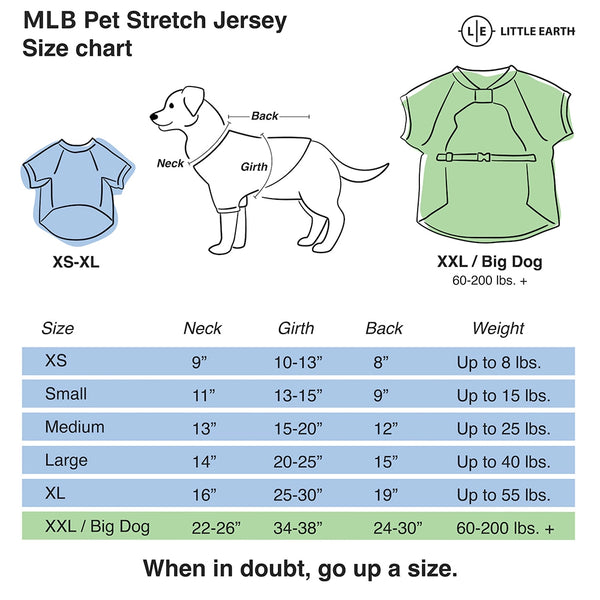 Red Sox Jersey Gray