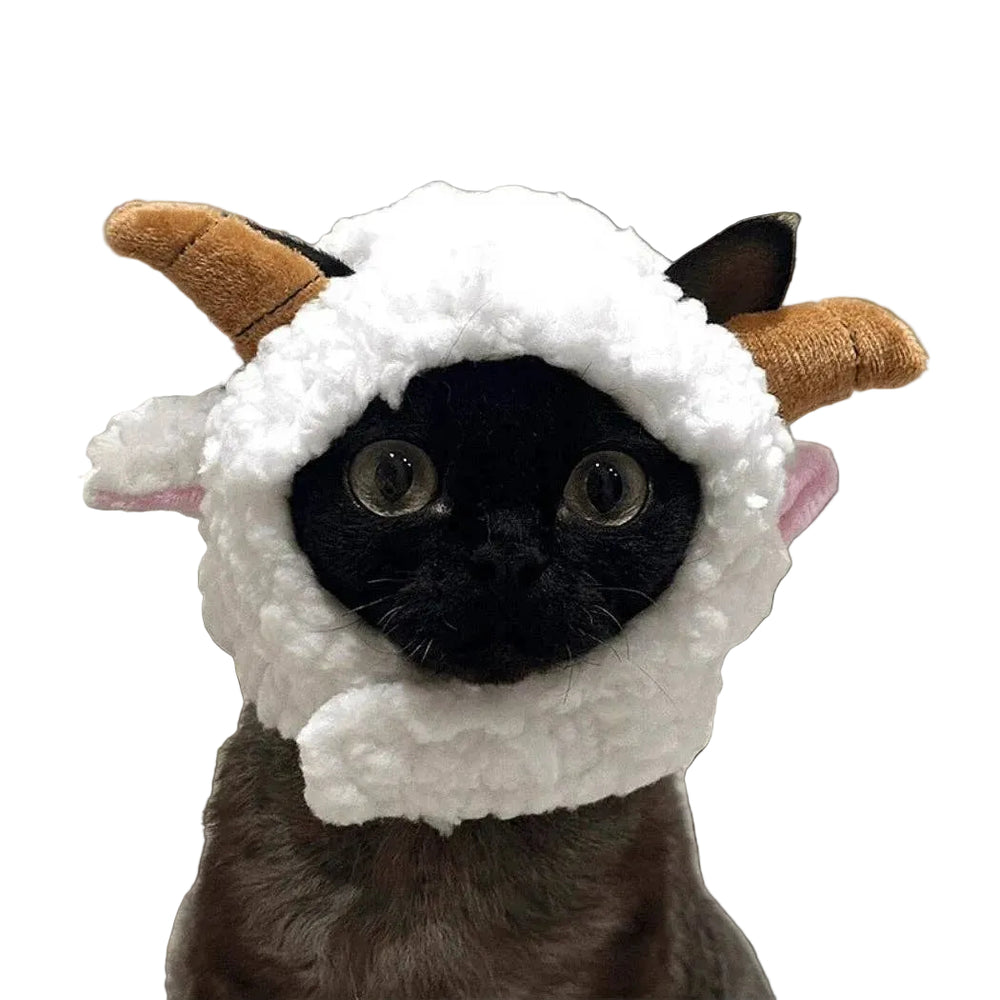 Cat wearing a white sheep costume with brown horns on a light background