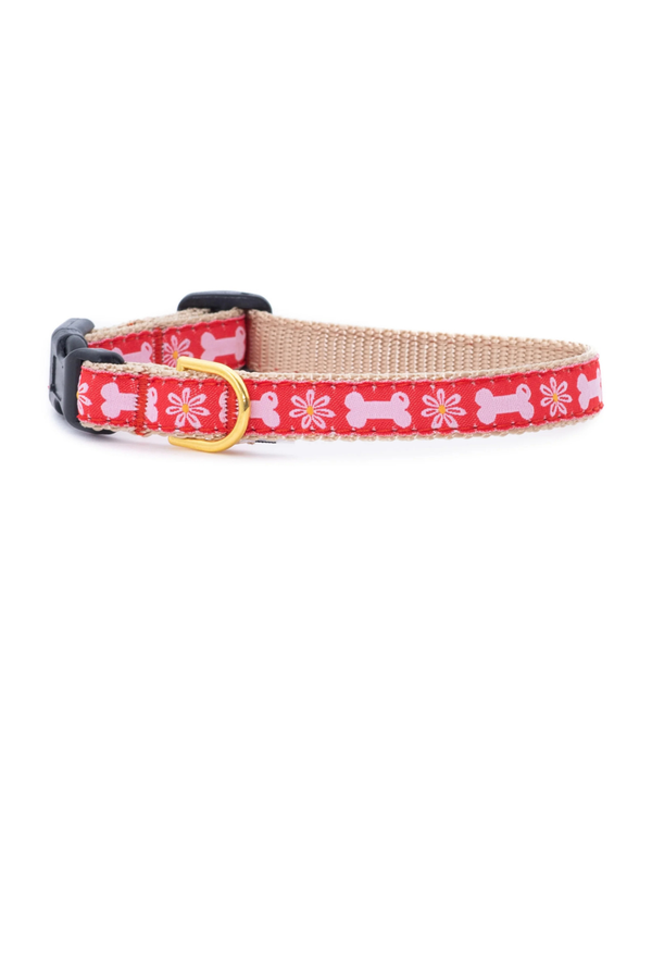 UP COUNTRY Small Breed Dog Collar Bones in Bloom