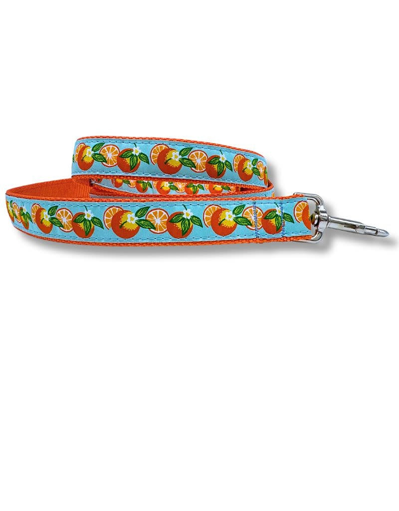 PRESTON Dog Leash Oranges