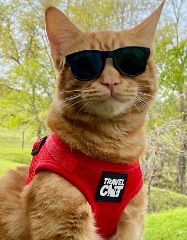 TRAVEL CAT True Adventurer Reflective Leash & Harness Set Red