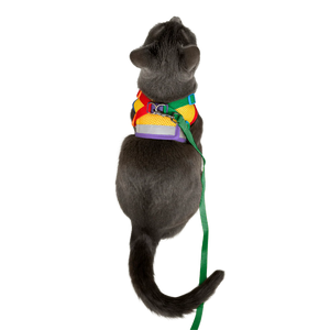 TRAVEL CAT Leash & Harness Set The Rainbow