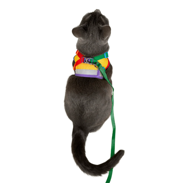 TRAVEL CAT Leash & Harness Set The Rainbow