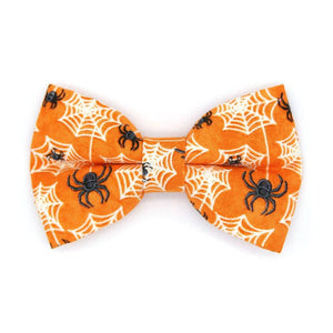 MADE BY CELO Spooky Spiderwebs Bowtie for Cats