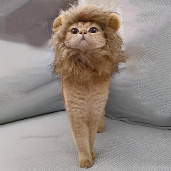 CHEERHUNTING Lion Cat Mane