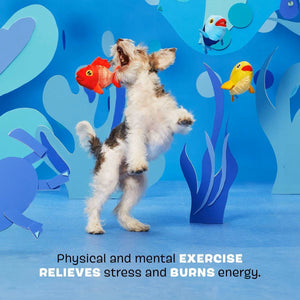 BARK The Groupers 3-in-1 Squeaky Plush Dog Toy