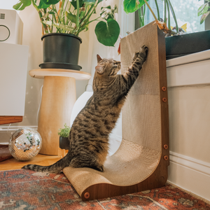 NECOICHI Wall Scratcher