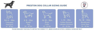 PRESTON Humpback Whale on Raspberry Dog Collar
