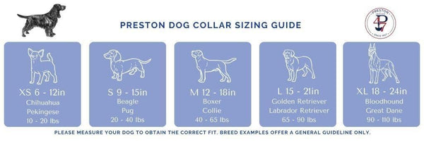 PRESTON Humpback Whale on Raspberry Dog Collar