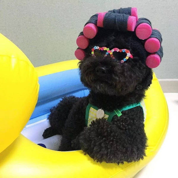 CHEERHUNTING Curlers Cat Hat