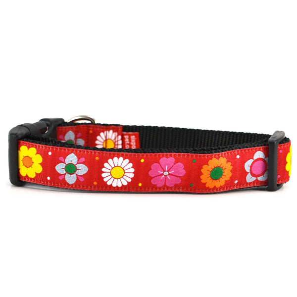SIX POINT PET Daisy Chain Dog Collar Red