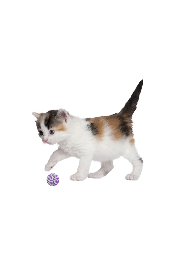 TRIXIE Nylon Ball Cat Toy
