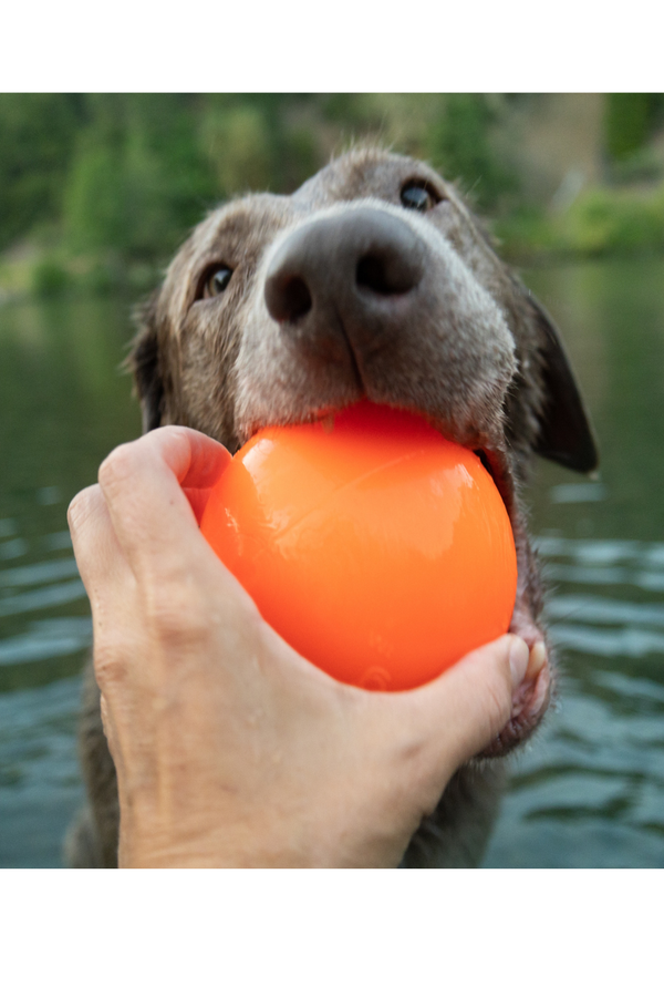 RUFFDAWG Ball