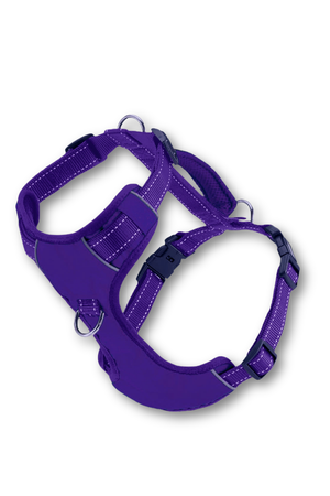 BAYDOG  Chesapeake Harness Purple