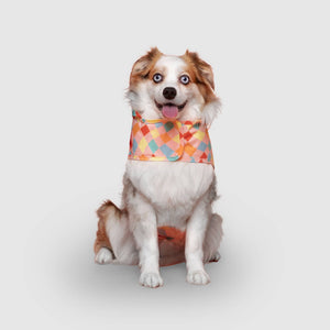 CANADAPOOCH Pick Me Poncho Dog Raincoat Warped Checker