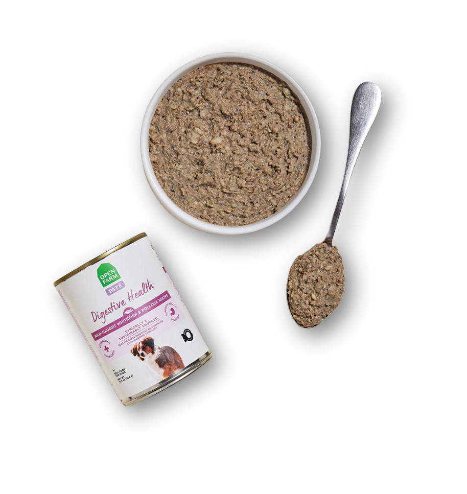 OPEN FARM Digestive Health Pollock & Whitefish Pate Dog Food 12.5 OZ CASE/12