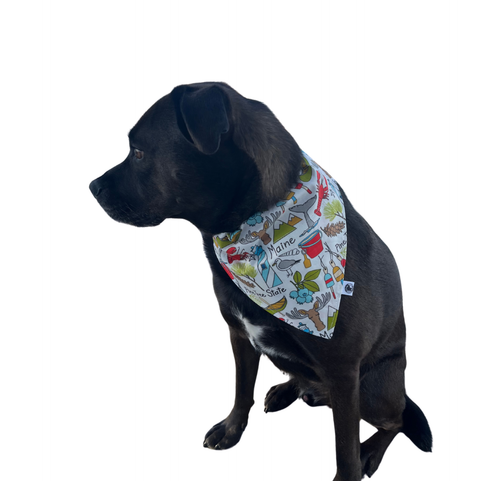 THE MAINE POOCH Pine Tree State Maine Bandana