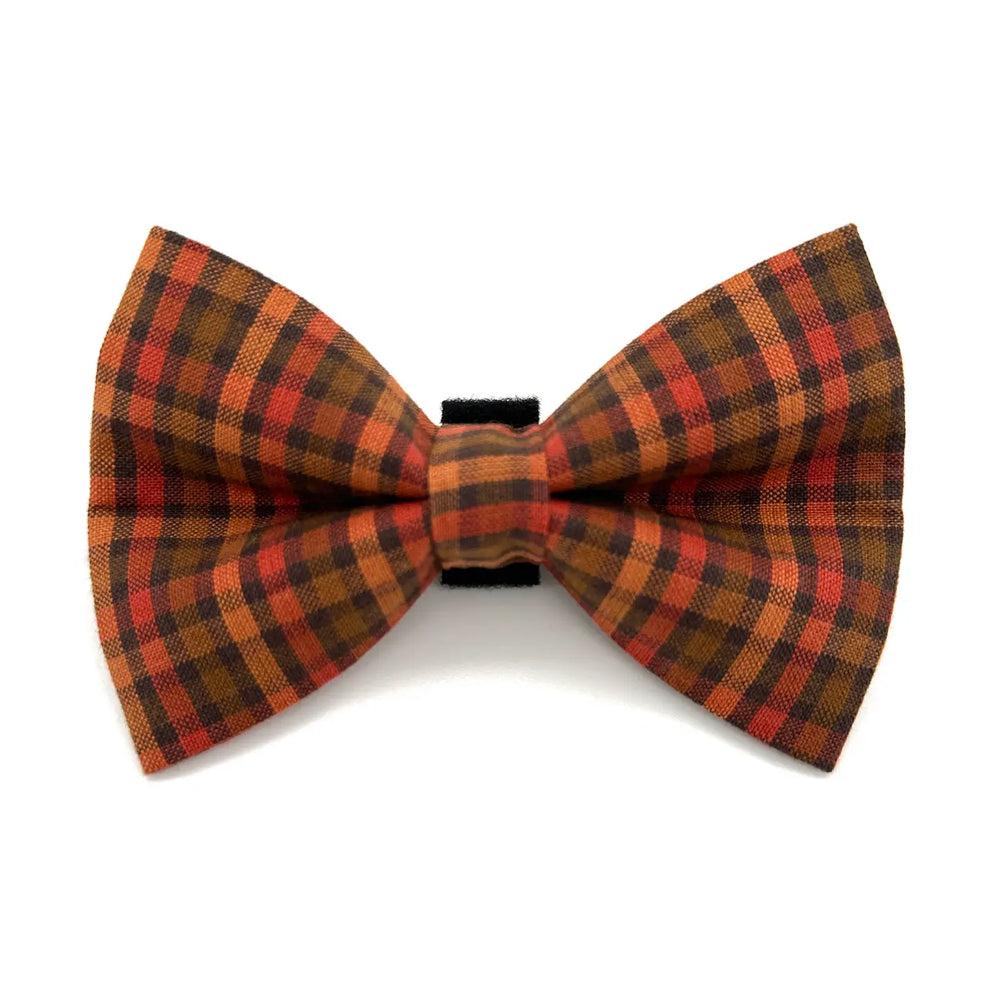 WINTHROP Cider Plaid Dog Bow Tie