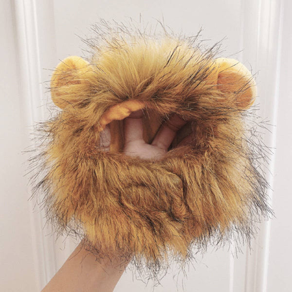 Lion Cat Mane