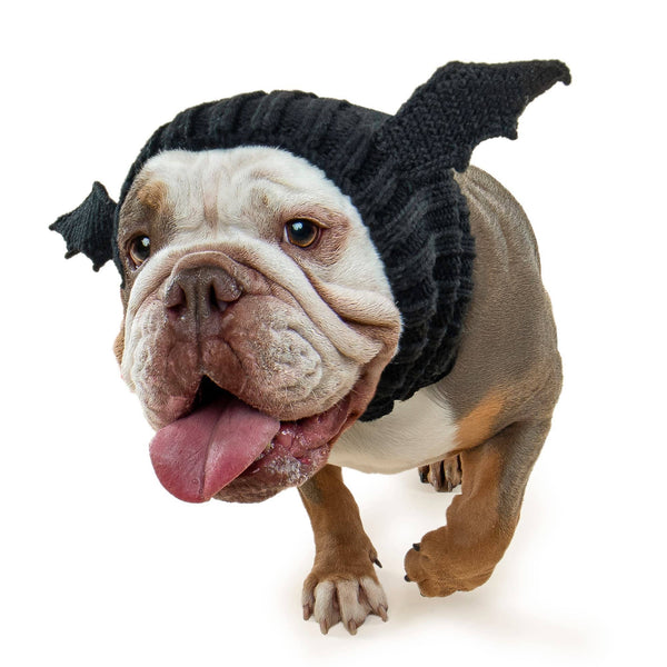 ZOO SNOODS Bat Dog Snood