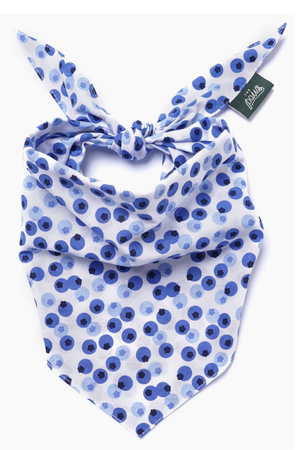 FISH & BONE Bandana Berry