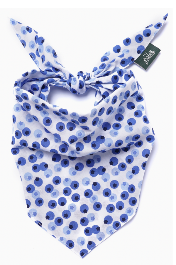 FISH & BONE Bandana Berry