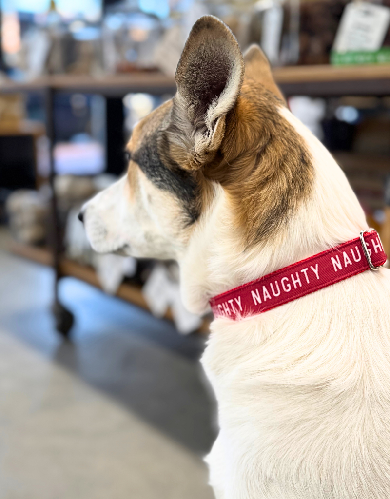 SEW FETCH Dog Collar Naughty