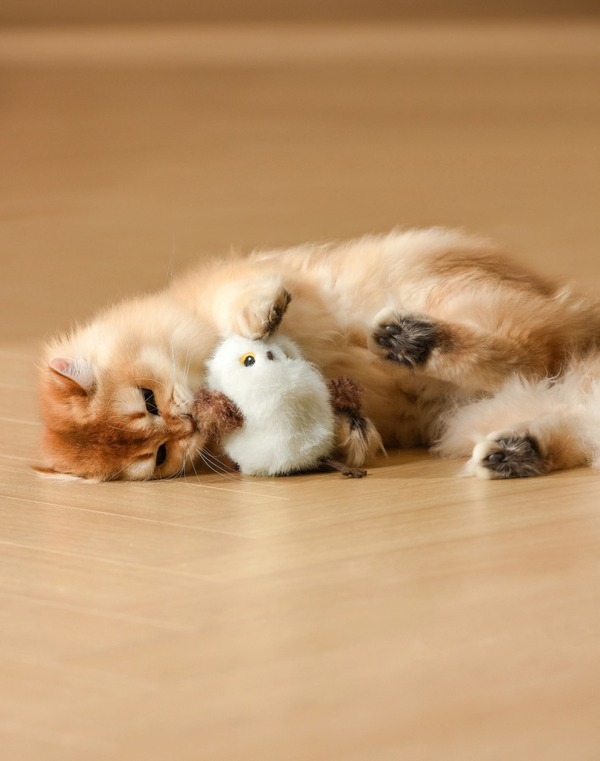 BARKWOW Flapping & Chirping Bird