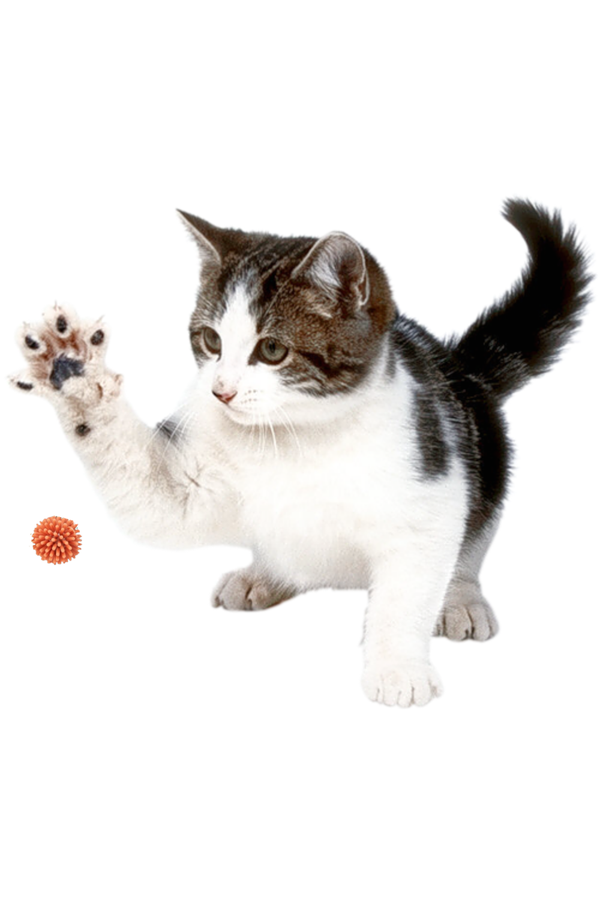 TRIXIE Vinyl Hedgehog Cat Toy