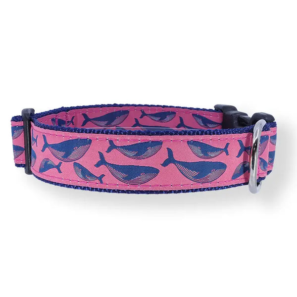 PRESTON Humpback Whale on Raspberry Dog Collar