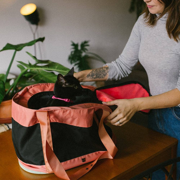ZEE.DOG Cat Carrier Bag Terracotta