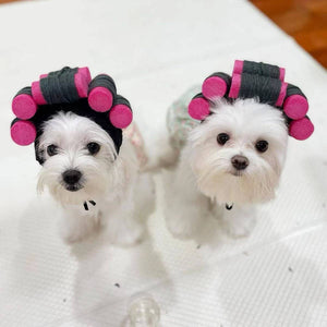 CHEERHUNTING Curlers Cat Hat