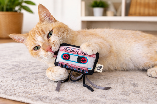 CROCHET KITTY Catnip Cassette Tape Cat Toy