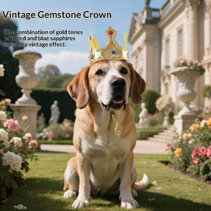 King Robe & Crown Dog Costume