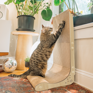 NECOICHI Wall Scratcher