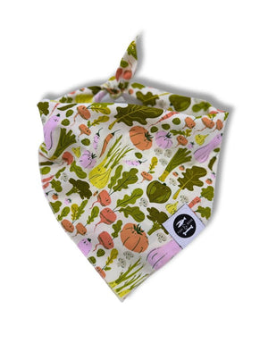 FISH & BONE  Bandana Veggie Smiles