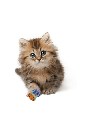 TRIXIE Ball and Roll Cat Toy