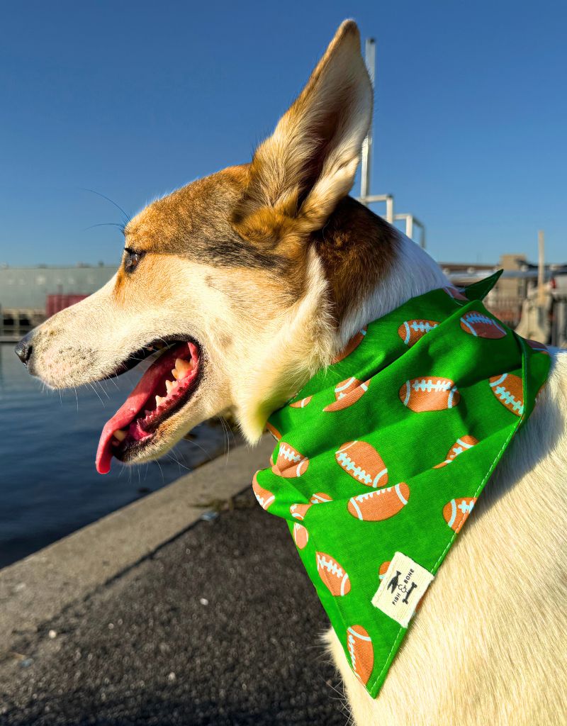 FISH & BONE Bandana Defender Football