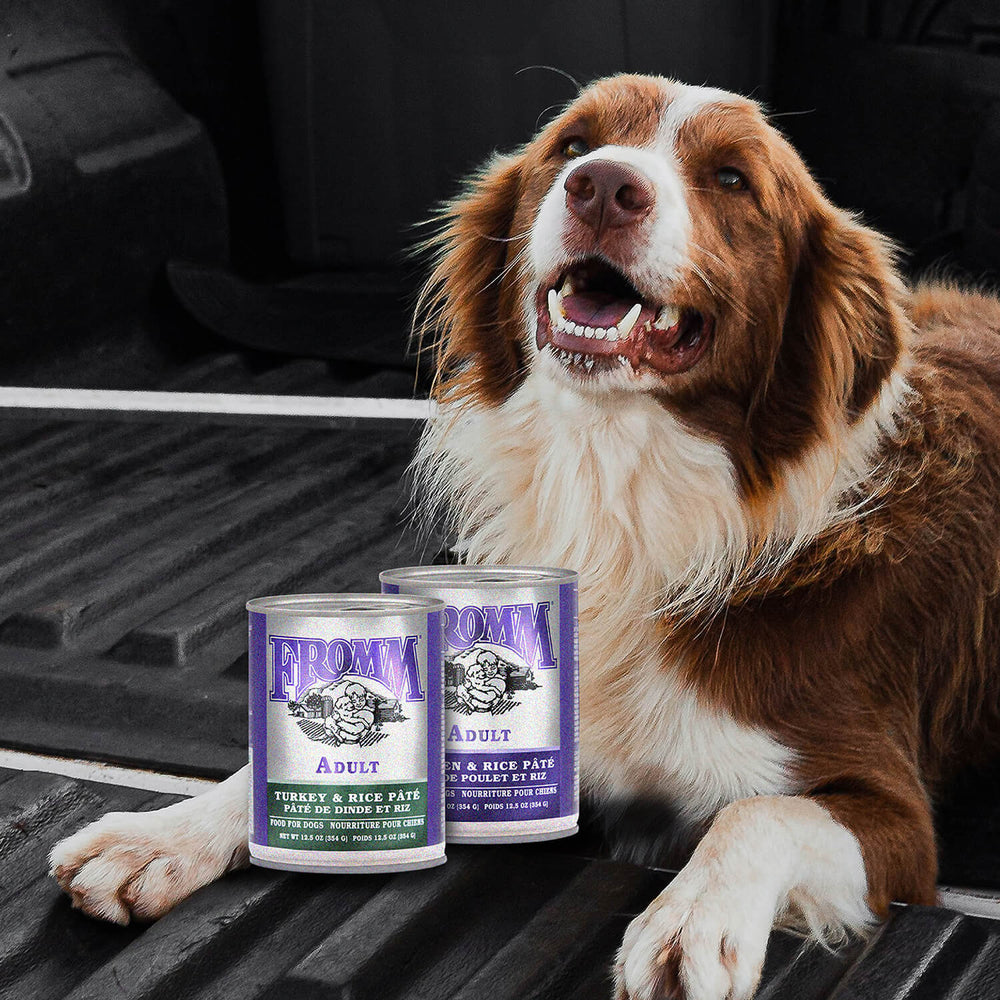 FROMM Classic Dog Food Chicken & Rice Canned Wet Food 12.5OZ