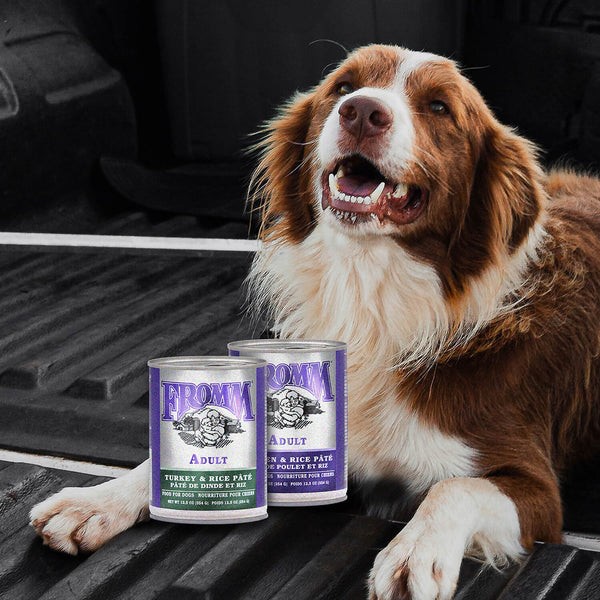 FROMM Classic Dog Food Chicken & Rice Canned Wet Food 12.5OZ