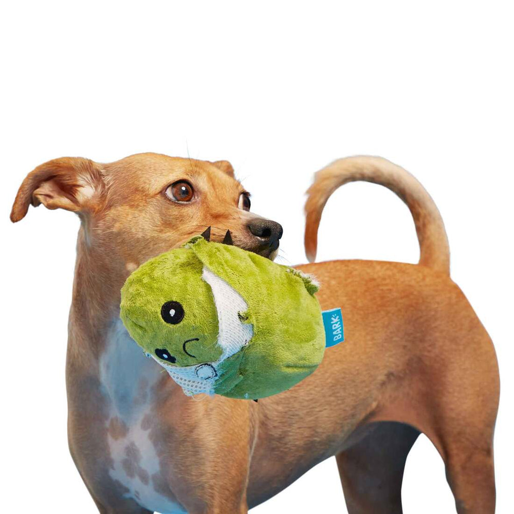 BARK Consuela the Cactus Green Plush Dog Toy