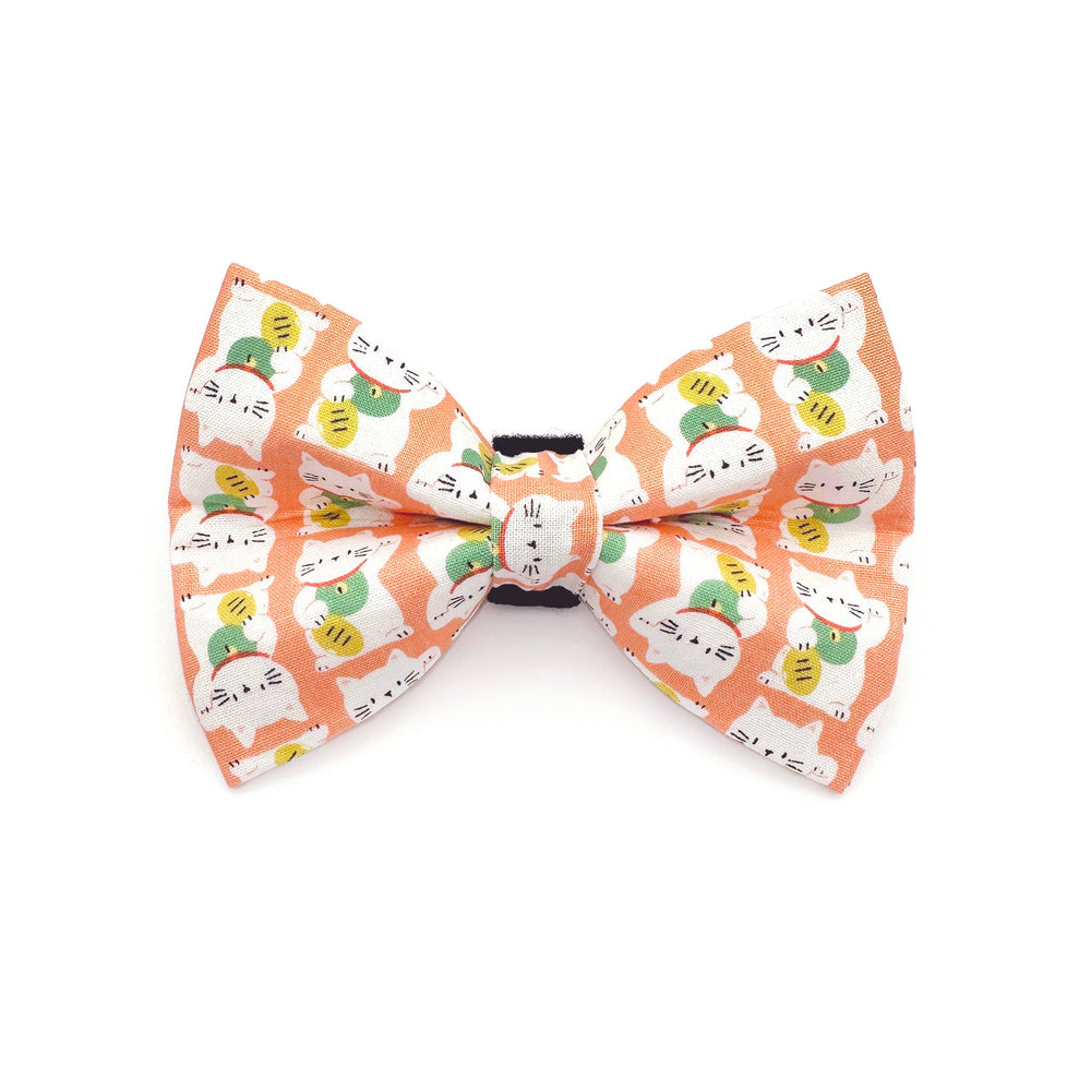 WINTHROP Lucky Cat Bow Tie