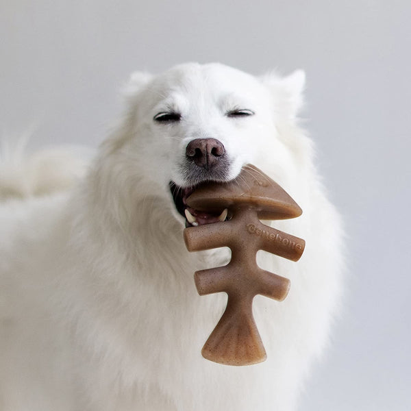 BENEBONE Fishbone Dog Chew