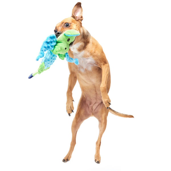 BARK Humbert The Dragon Blue Green Plush Dog Toy